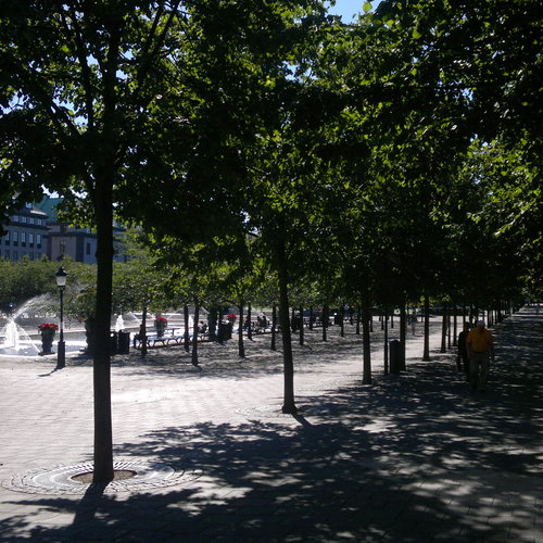 Ensimm�inen lukijakuva viikolle 12